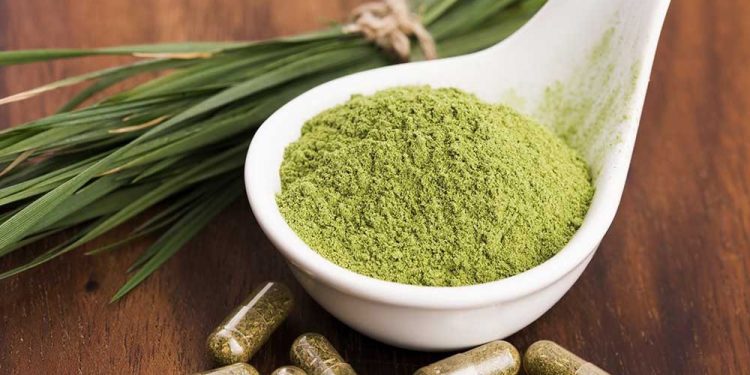 Three Things you Must Know Before Buying Kratom Products