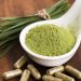 Three Things you Must Know Before Buying Kratom Products