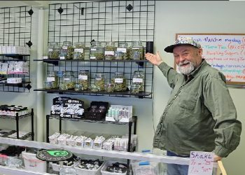 Why Buy From Cannabis Store Near Lakewood, CO?
