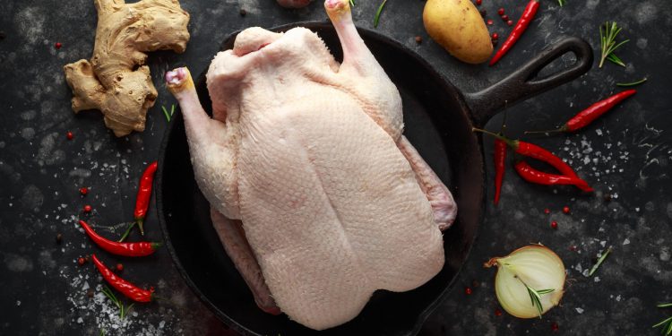 Ducks, Ducks Everywhere: An In-Depth Guide on Buying and Selling Duck