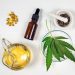 The Things You Should Know Before Buying Hemp Oil CBD Capsules