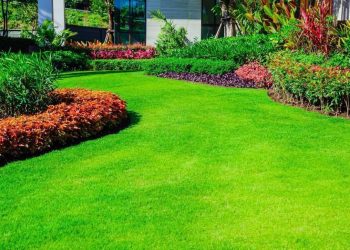 Garden Essentials for Beginners