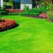 Garden Essentials for Beginners