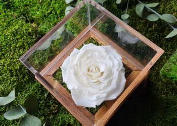 Infinity Roses: A Unique Gift That Keeps on Giving