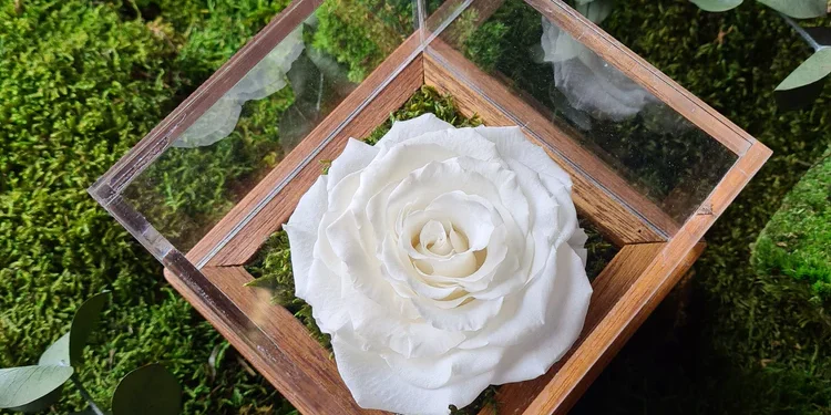 Infinity Roses: A Unique Gift That Keeps on Giving
