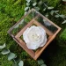 Infinity Roses: A Unique Gift That Keeps on Giving